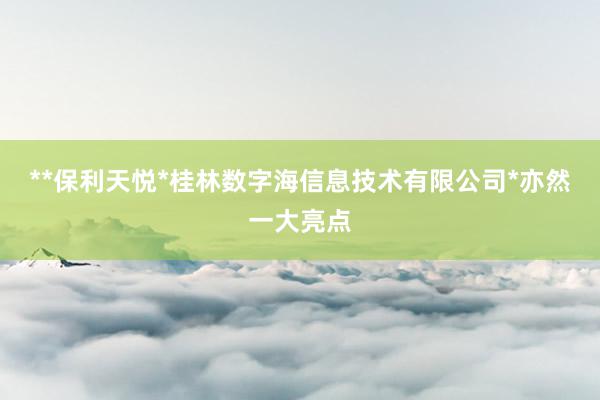 **保利天悦*桂林数字海信息技术有限公司*亦然一大亮点